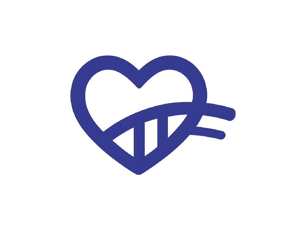 Chronic Care Bridge